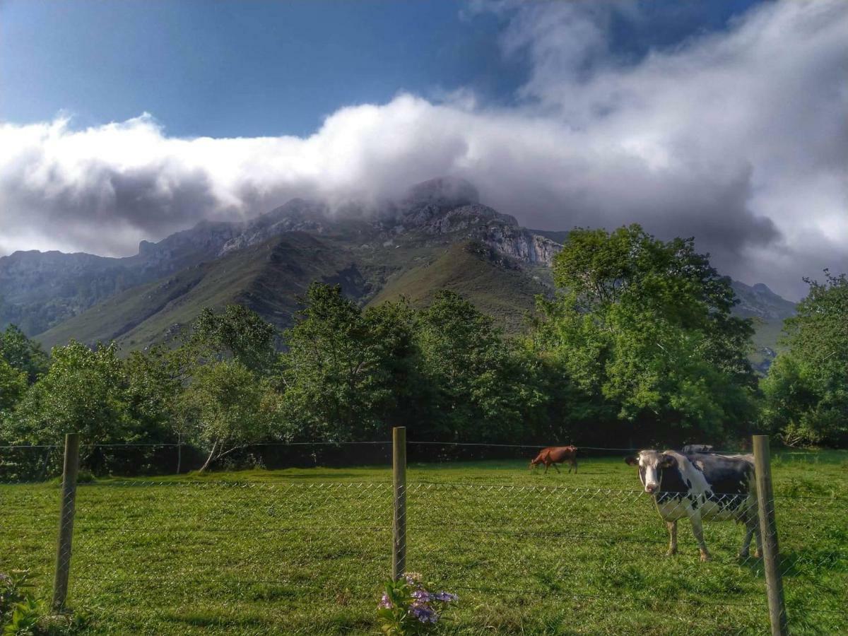 Вілла Casa Del Sella El Llano Екстер'єр фото